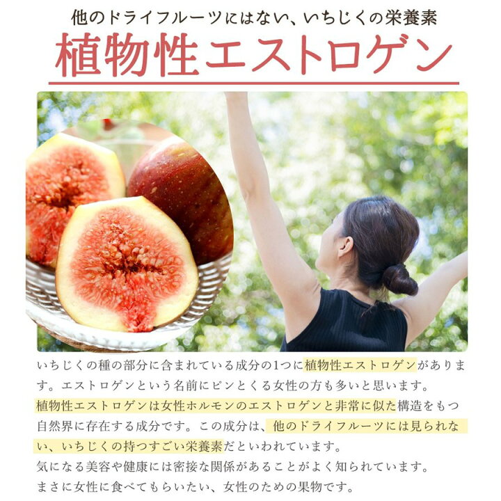 楽天市場 いちじく ドライ 10kg 1kg 10 送料無料 ドライいちじく ドライイチジク トルコ産 無添加 大粒肉厚 いちじく イチジク 無花果 ドライ 砂糖不使用 国内選別 ドライフルーツ フルーツ お徳用 大容量 ぼくの玉手箱屋ー