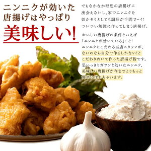 ニンニクが本気で効いたから揚げが本気でうまくなるから揚げ粉500g[唐揚げ粉粉からあげグルメ]