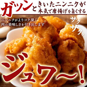 ニンニクが本気で効いたから揚げが本気でうまくなるから揚げ粉500g[唐揚げ粉粉からあげグルメ]