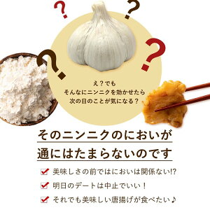 ニンニクが本気で効いたから揚げが本気でうまくなるから揚げ粉500g[唐揚げ粉粉からあげグルメ]