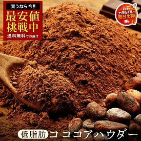 ピュアココア 「低脂肪ココア 500g」 送料無料 [ ココアパウダー 無糖ココアパウダー おすすめ 高級ココアパウダー 料理用 業務用 低脂肪ココアパウダー 通販 ] 【土日を除く翌日出荷対応】