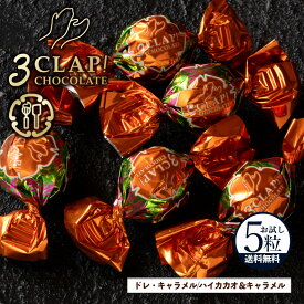 TV放送で話題殺到!「3CLAP!CHOCOLATE ドレ・キャラメル(ハイカカオ&キャラメル)1箱(5粒)」 送料無料 [ スリークラップチョコレート チョコレート チョコ ]