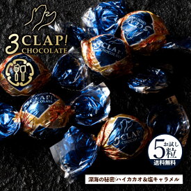 TV放送で話題殺到!「3CLAP!CHOCOLATE 深海の秘密(ハイカカオ&塩キャラメル)1箱(5粒)」 送料無料 [ スリークラップチョコレート チョコレート チョコ ]