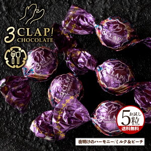 yԌ 1,000~ |bL z TVŘbE!u3CLAP!CHOCOLATE 閾̃n[j[(~N&s[`)1(5)v  [ X[Nbv`R[g `R[g `R ] yVX[p[SALE 