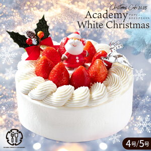  NX}XP[L 2025 P[L uAcademy White ChristmasiAJf~[EzCgNX}Xj5 / 4 v  [ P[L  C`S  v[g T^ V[gP[L   P