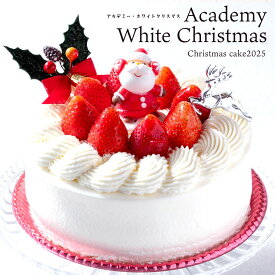 クリスマスケーキ 2025 ケーキ 「Academy White Christmas（アカデミー・ホワイトクリスマス）5号 / 4号 」 送料無料 [ ケーキ いちご イチゴ 苺 プレゼント サンタ ショートケーキ 苺 いちご ケーキ お取り寄せ パーティ かわいい 冷凍 大浜スイーツアカデミー ]
