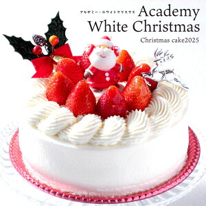 NX}XP[L 2025 P[L uAcademy White ChristmasiAJf~[EzCgNX}Xj5 / 4 v  [ P[L  C`S  v[g T^ V[gP[L   P[L 
