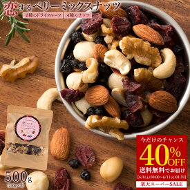 ＼期間限定★40％OFF／ ミックスナッツ 500g (250g×2) 送料無料 恋するベリーナッツ 無塩 無添加 ドライフルーツ ナッツ アーモンド くるみ クランベリー ブルーベリー クルミ おつまみ 業務用 小分け 子供 詰め合わせ 楽天スーパーSALE SALE セール