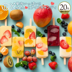 Mtg t[cACX uʓςǂƃACXLfB20{Zbg(S6킩4ޑIׂ)v  [ t[cACXo[ lC Mtg  LO ]