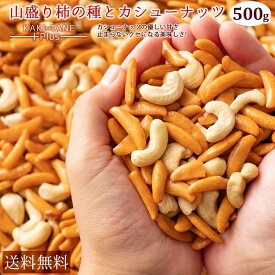 ＼誕生祭！決算大放出／ 柿の種 「【人気の柿の種】業務用サイズでコスパ抜群!柿の種＋カシューナッツ500g」 送料無料 [ 大容量 おつまみ 人気 おすすめ 激安 カシューナッツ入り ミックス ] お買い物マラソン SALE セール