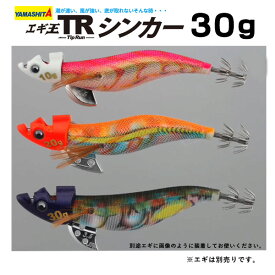 楽天市場 ティップラン シンカー 30gの通販