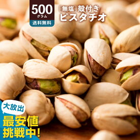 ピスタチオ 「無塩殻付き素焼きピスタチオ 500g」 送料無料 ［ 小分け 菓子材料 ナッツ nuts 国内加工 おつまみ 焙煎 無添加 ]