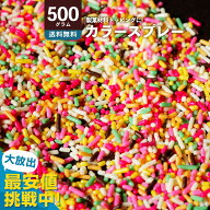 五色 スプレー カラースプレー チョコ 業務用 500g 送料無料 ミックスチョコ [チョコスプレー 業務用 ア…