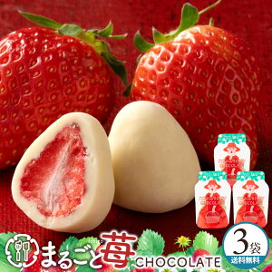 gt uÎ_ςt[YhC䕂ґɁB܂邲䕃`R[g3܃Zbg(15×3)v  [ v`Mtg zCg`R `R[g `R ]