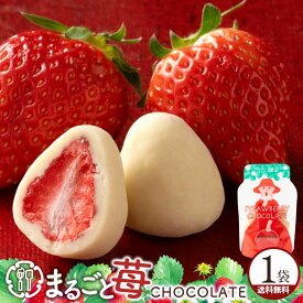 トリュフ 「甘酸っぱいフリーズドライ苺を贅沢に。まるごと苺チョコレート1袋(15粒入)」 送料無料 [ プチギフト ホワイトチョコ チョコレート チョコ ]