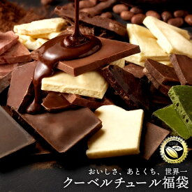 割れチョコ 訳あり チョコレート 「チョコレートだけを楽しみたいあなたへ 種から選べる クーベルチュール チョコ福袋 選べる割れチョコ2袋+ 厳選チョコ付き」 送料無料 [ チョコ スイーツ 大浜スイーツアカデミー ]