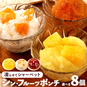 yԌ 10%OFF zv`Mtg V[xbg t[c|`u 点ăV[xbg VEt[c|` 3ނIׂ8Zbg vV[xbg t[c|` [  [[ A