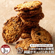 【クーポンで40%OFF】 低糖質「小麦粉不使用！美人の秘密は、オートミールの力。健康オートミール100％の…