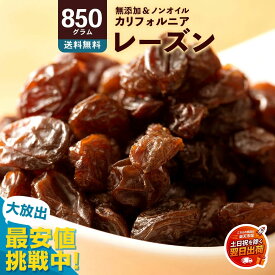 翌営業日出荷 年内到着間にあいます レーズン ノンオイル 「麗しのレーズン850g」 送料無料 [ ノンオイル 無添加 砂糖不使用 カリフォルニア産 カリフォルニアレーズン ドライフルーツ 激安 干し葡萄 ほしぶどう 1kg より少ない 非常食 ] 【土日を除く翌日出荷対応】