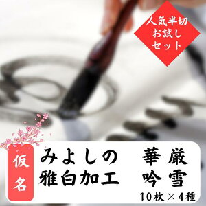 ȗp 4킨Zbg2(݂悵 ،  딒H)yz6000~ v40 ȏ𕝁z