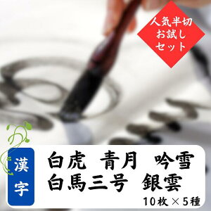  5킨Zbg-2(   nO _)yz6000~ v50 𕝁z