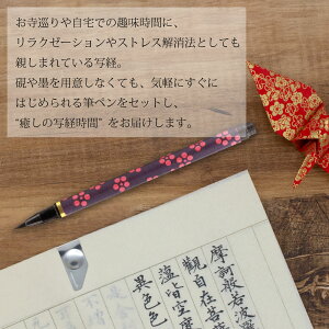 MyʌoZbg(BV[Y)(艿1,980~ AZ-17SAWD)yNbvt ʌop ʌopi piz