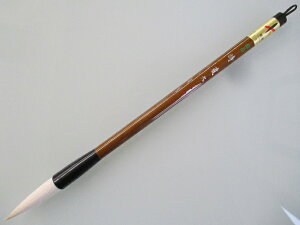  ɕi ()(艿3,850~ r r)yM ѕM M pMz