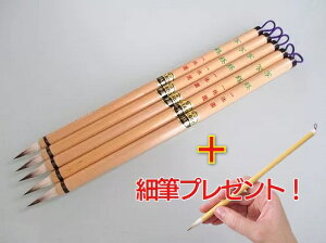 x וM ʌo() 5{Zbg וM1{v[g 艿1,650~ ꌖсyʌopM M M K FM ʌoMz