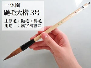 x M ꌖё垲 3(艿8,800~ n ꌖ)yM FMz