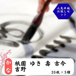 ȗp 5킨Zbg( _ 䂫 Í g)yv100 z