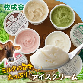 最大ポイント10倍【 アイスクリーム 6個 or 12個】アイス アイスクリーム プレゼント 御祝 お取り寄せ お誕生日 スイーツ お返し ギフト 詰め合わせ プレゼント 内祝い 高級アイス お誕生日 5000円 敬老の日