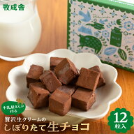 贅沢生クリーム搾りたて 生チョコ 12粒 2026 ギフト おいしい 生クリーム 高級 チョコレート 洋菓子 プレ…