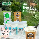マラソンクーポン＆オトク盛沢山!　お中元 【 ヨーグルト バラエティー 11点セット】プレゼント ヨーグルト ギフト 20…