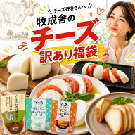 訳あり チーズ 福袋 2026 食品ロス 福袋 食品 国産 在庫処分 訳アリ 詰め合わせ 牧成舎 送料無料 ワケア…