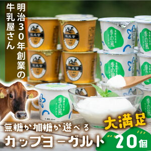 1000~OFFN[|P10{Iy [Og Jbv 20 z j v[g v`Mtg z j a [Og Mtg i 蕨 ܂Ƃߔ j  Ԃ  q