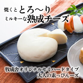 ＼最大P10倍＆クーポン／ 大人の素っぴんチーズ 商品と一緒に購入がおすすめ！牧成舎のオリジナル熟成チーズ 送料別プレゼント 食品 国産チーズ セミハード チーズ ギフト　ホワイトデー