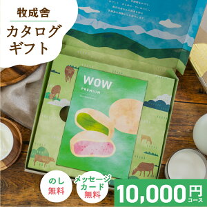 1000~OFFN[|Pő10{IyIׂ q J^O zwow 10000~ j 1~ Ԃ MtgJ^O O jԂ oYj oYj `[Y [Og ACXN[ XC[c 