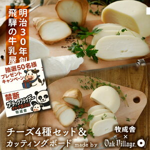 ֒f̃ubNp_tCf[NIy `[Y 4  IWi JbeBO{[h z `[Y a ܂ ÂȂ Ԃ Y`[Y Mtg p[eB[ j C 