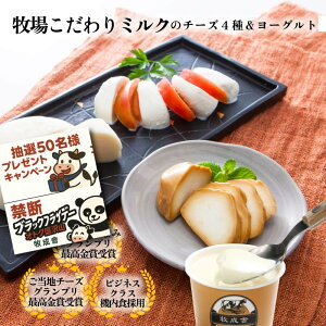 ֒f̃ubNp_tCf[NIy `[Y 4큕[OgZbgz v[g j ÂȂ Mtg `[Y bc@ Z~n[h [Og Mtg j ܂ 