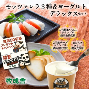 ֒f̃ubNp_tCf[NIy `[Y 3큕 [Og fbNXzDEALy Ζ߂񂨎񂹁zÂȂv[g  Mtg ܂ Y  { 