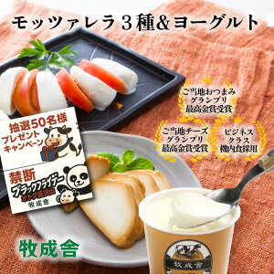 ֒f̃ubNp_tCf[NIΖ߂񂹁y `[Y 3  [Og Zbg zDEAL  ܂ Y  { C Mtg j  v`Mtg 