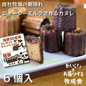 ֒f̃ubNp_tCf[NIy ɏ̃~NJk6zJk Mtg lߍ킹 v[g R[q[ j a   XC[c  tXَq 