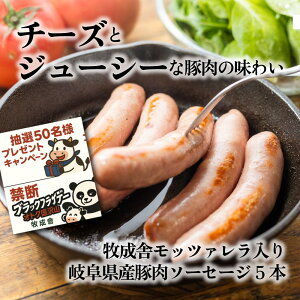 ֒f̃ubNp_tCf[NIy qɃbc@\[Z[W z iƈꏏɍwIXXIv[g Hi \[Z[W  `[Y Hi N