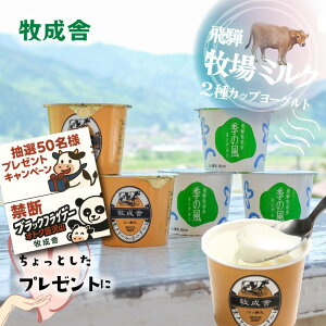 ֒f̃ubNp_tCf[NIy2탈[Og6Zbgz v[g [Og Mtg v`Mtg Ƃv[g 1000~ 2000~ v[  N Z Ȃ