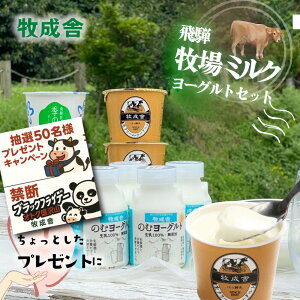 ֒f̃ubNp_tCf[NIy [Og oGeB[ 11_Zbgzv[g [Og Mtg 2000~ 3000~ Hi N Ε NX}X  lߍ킹 v`