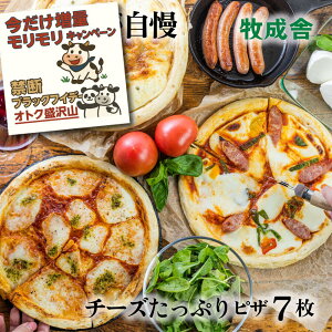 v``[YtI֒f̃ubNp_tCf[NIy `[YՂsU7Zbgz}cR̒mȂE sU q ⓀsU pizza v[g ܂ ⓀHi j  