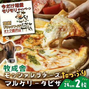 v``[YtI֒f̃ubNp_tCf[NIy bc@Ղ}Q[^sU2zv[g pizza  ⓀHi p[eB[ ⓀsU `[Y Mt