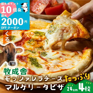 őP10{ő2000~OFFN[|ŃIgNIy q bc@ Ղ }Q[^ sU 4 zj v[g q pizza `[Y ⓀsU Ԃ Mtg j  Ԃ a 