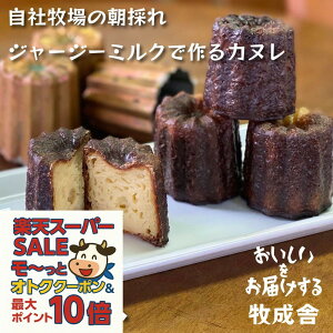 őP10{ő2000~OFFN[|ŃIgNIy ɏ̃~NJk6zJk Mtg lߍ킹 v[g R[q[ j a   XC[c  tXَq 