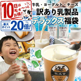 乳製品デラックス袋 もったいない 訳アリ ご褒美 福袋 食品 2026 在庫処分 スイーツ おつまみ お取り寄せ 牛乳 ヨーグルト 食品ロス 詰め合わせ チーズ 牧成舎 プレゼント 父の日 ギフト DEAL お中元 中元 御中元